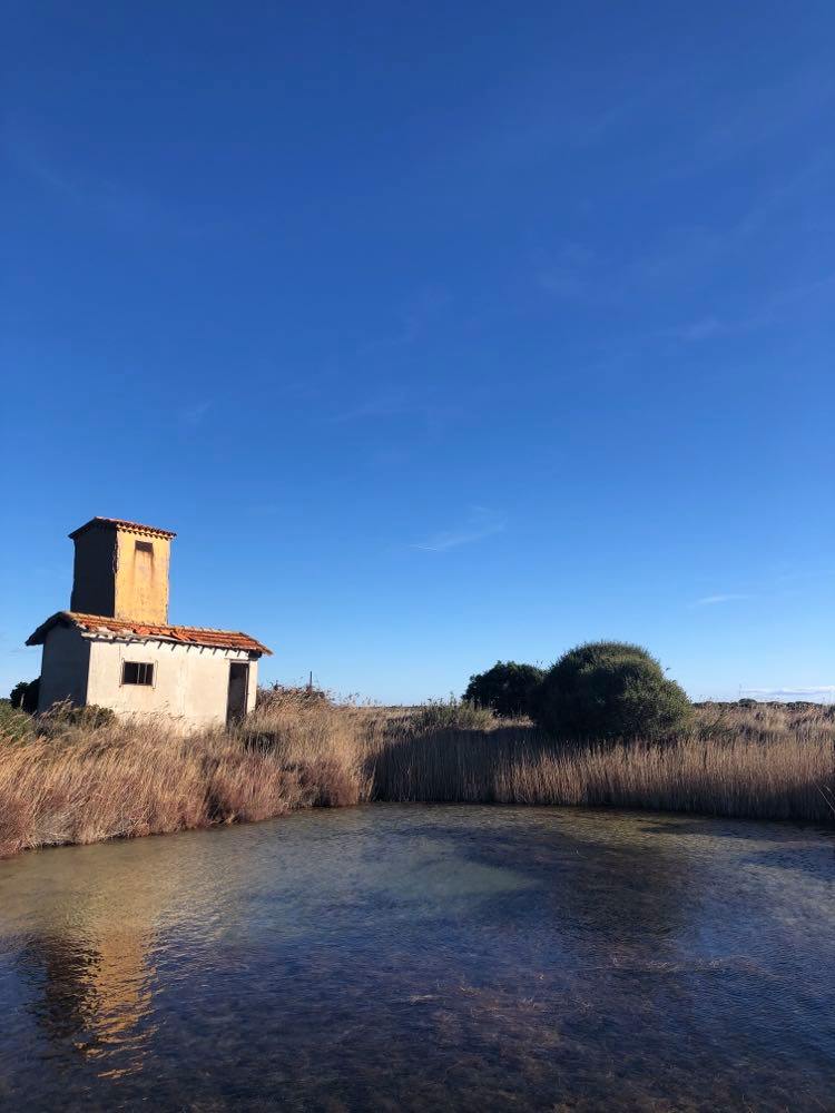 Les salins de Frontignan