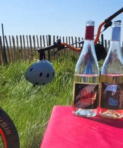 Dégustation de vins lors d'une balade trottinette