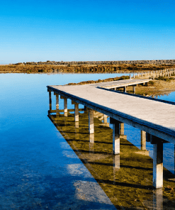 Balade des Etangs en trottinette tout terrain
