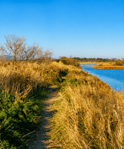 Randonnée entre terre et mer à Frontignan | aventure nature en trottinette tout terrain – Image 8