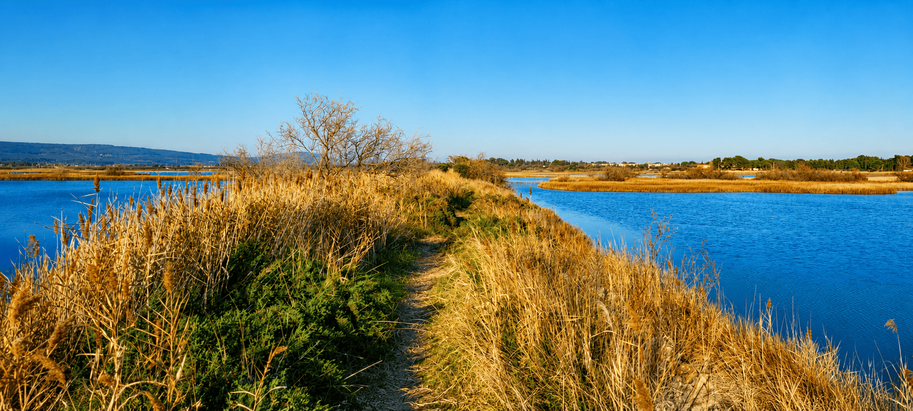 Randonnée entre terre et mer à Frontignan | aventure nature en trottinette tout terrain – Image 8