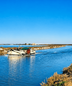 Randonnée entre terre et mer à Frontignan | aventure nature en trottinette tout terrain – Image 7