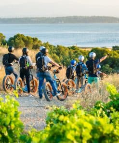 Les balades Trottup vous emmènent à travers les vignes et les sentiers littoraux.