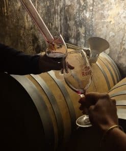 Balade vigneronne au Mas Rouge à Frontignan | expérience gourmande & découverte du Muscat