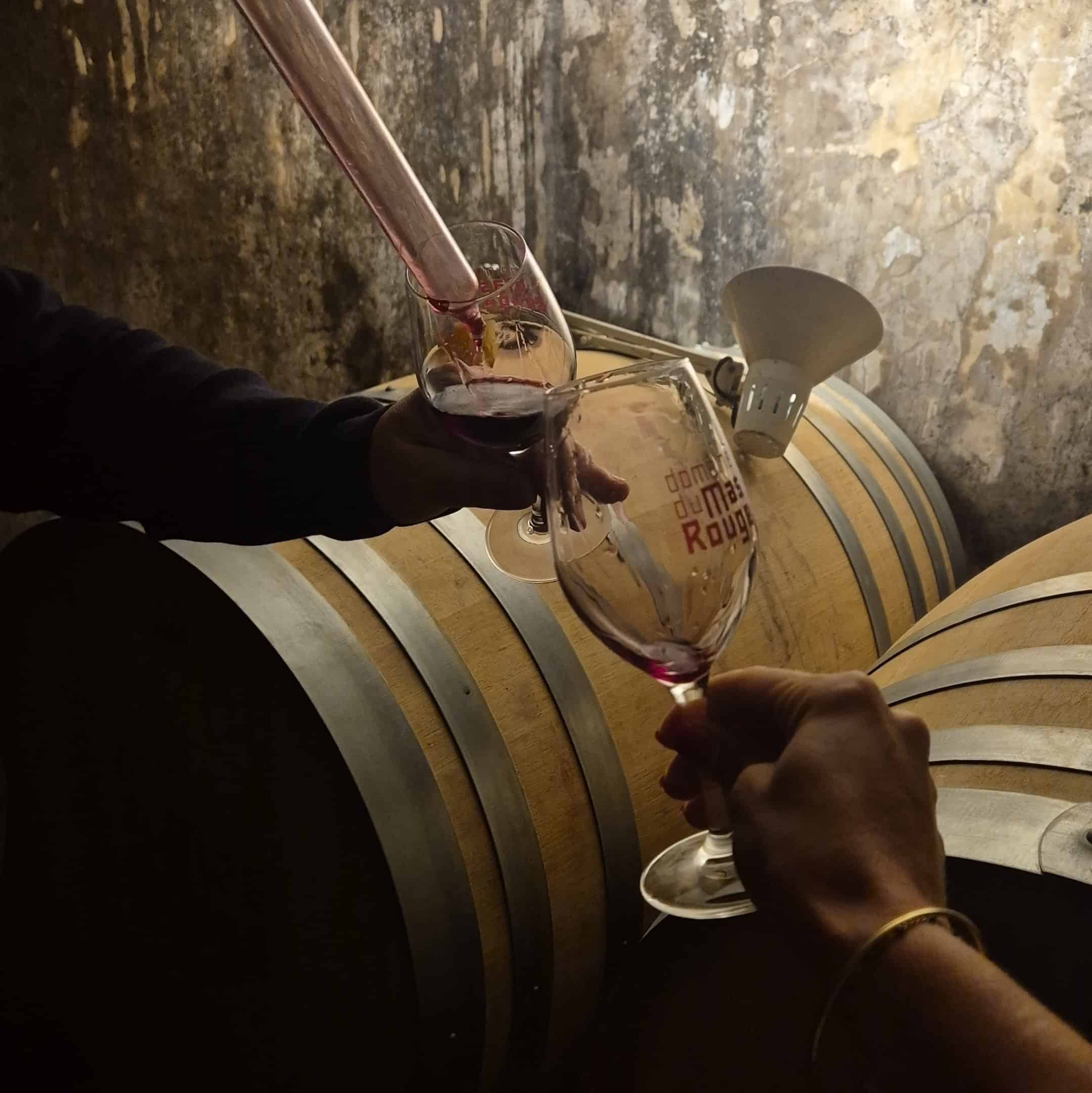 Balade vigneronne au Mas Rouge à Frontignan | expérience gourmande & découverte du Muscat