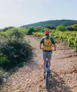 Sentier Vignes Tout-terrain