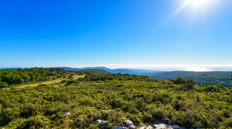 Vue panoramique a 360 degrés Gardiole