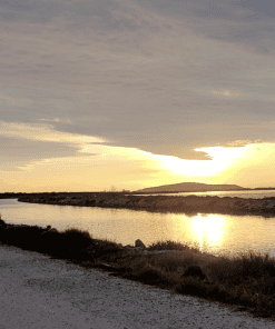 e-trott sunset